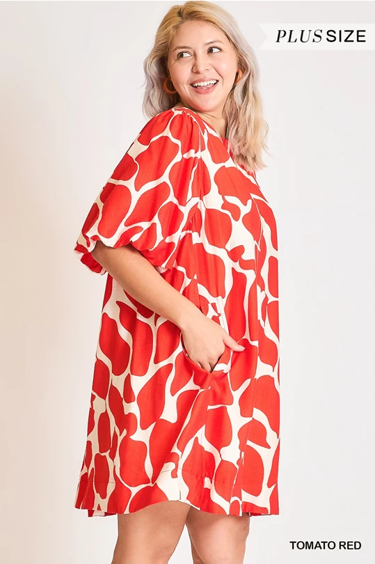 Abstract Print Dress